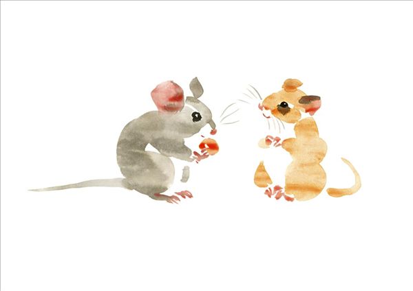 水彩画,老鼠图片