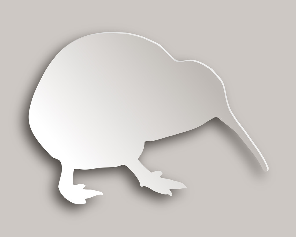《读者文摘》:新西兰几维鸟正面临消失的危险 - 18luck新利体育官网登录18luck新利官网