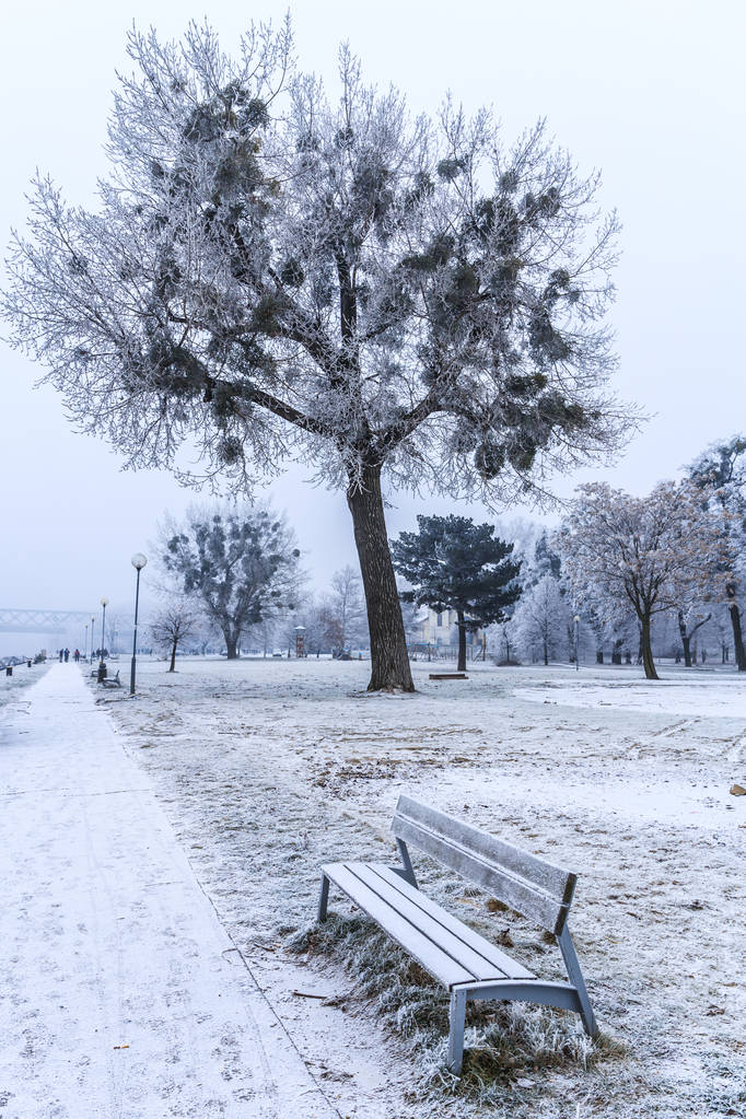 散步场所,布拉迪斯拉瓦,公园,雪,冬天,白天,悲伤