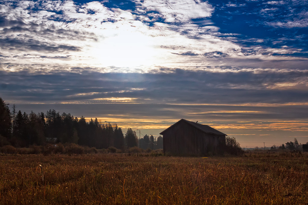 秋天,早晨,日出,地点,乡村,芬兰,孤单,看,早餐,屋顶,老,谷仓,房子