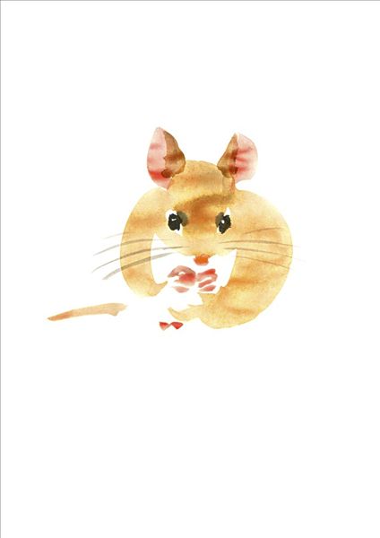 水彩画,老鼠图片
