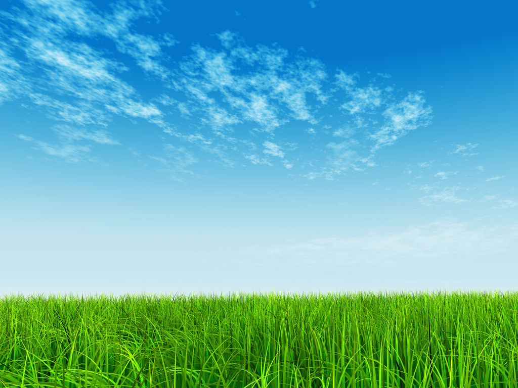 自然,草地,插画,概念,绿色,清新,草坪,蓝天背景,春天,夏天