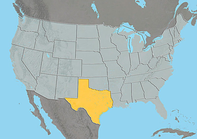 德克萨斯,美国,地形图,北方,上面,卫星,数据,展示,黄色,围绕,遮蔽图片