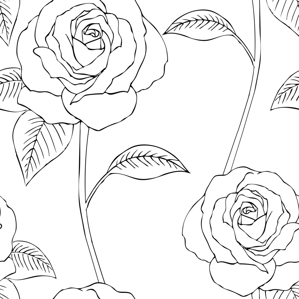 无缝,玫瑰,轮廓,图案,背景,花
